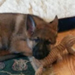 Meet your Posher, Michelle